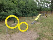 Agility – psie ihriská